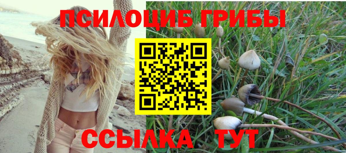 Псилоцибиновые грибы прущие грибы  Вход с VPN  купить   Славгород  Псилоцибиновые грибы MAGIC MUSHROOMS 